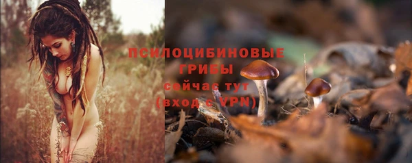 MDMA Premium VHQ Краснослободск