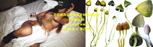 MDMA Premium VHQ Краснослободск