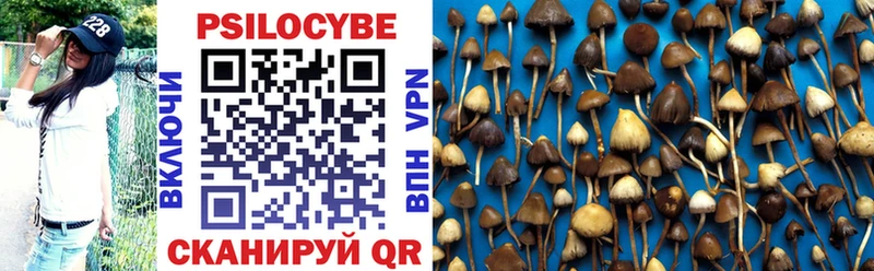 Галлюциногенные грибы Magic Shrooms  Купить  Динская 